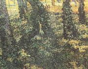 Vincent Van Gogh Tree Trunks with Ivy (nn04) oil painting reproduction